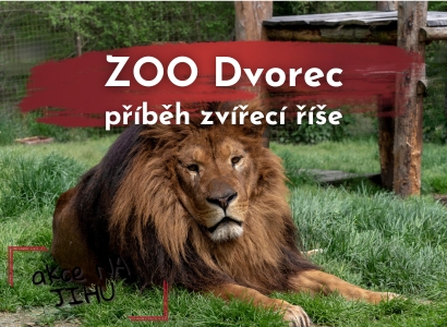 ZOO Dvorec. Příběh zvířecí říše.